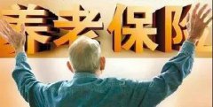 <b>商业养老险不只是“锦上添花”,更是“雪中送碳”!</b>