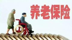 <b>养老保险改革四十年,未来如何应对老龄化</b>