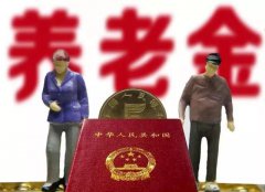 <b>养老保险可以个人补吗</b>