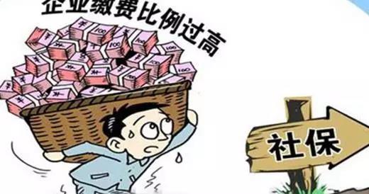 1536634803111409.jpg 5.jpg