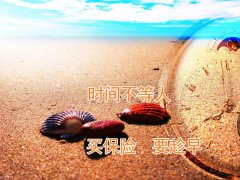<b>30ǰҪؼ׼ãҿɲŻ...</b>