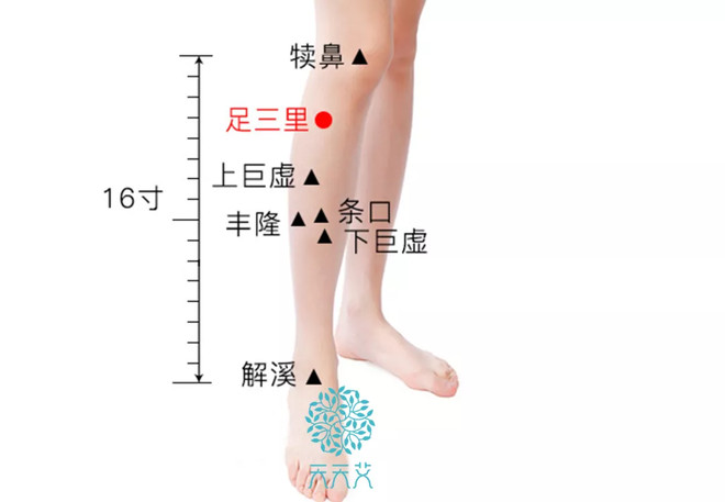 ΰֶڣ6źһҪ裡ٲע